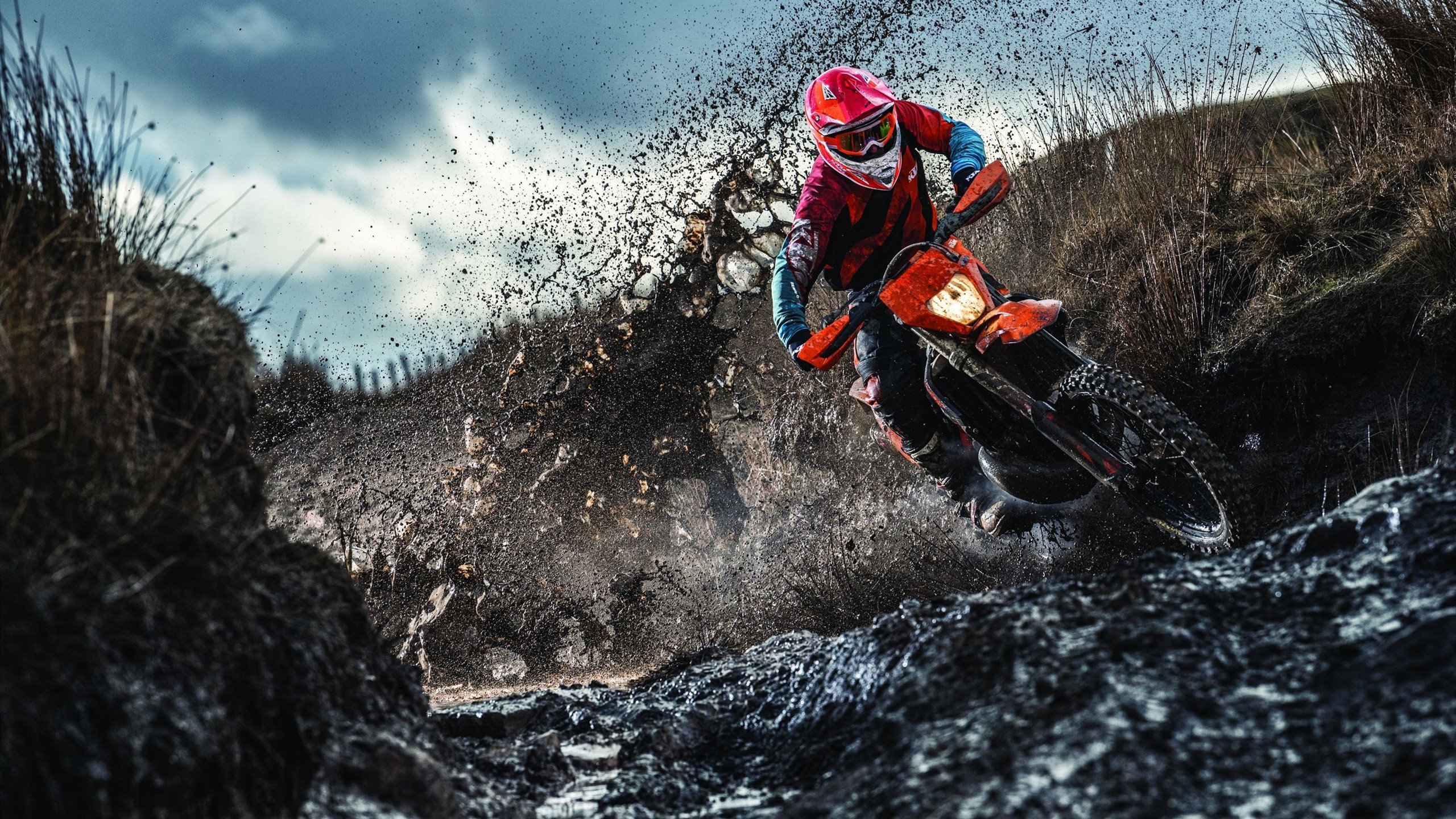 法拉利横扫梅赛德斯，诺里斯扛起全队，赛道上的权力更迭与孤勇者的崛起